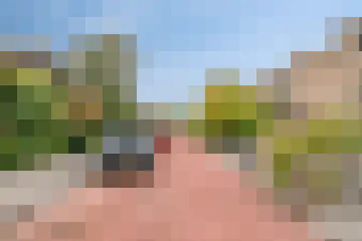 Ganzenhof 13 Ouderkerk aan den IJssel thumbnail 39