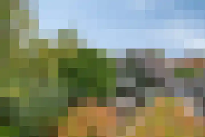 Ganzenhof 13 Ouderkerk aan den IJssel thumbnail 4