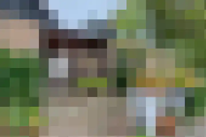 Ganzenhof 13 Ouderkerk aan den IJssel thumbnail 6