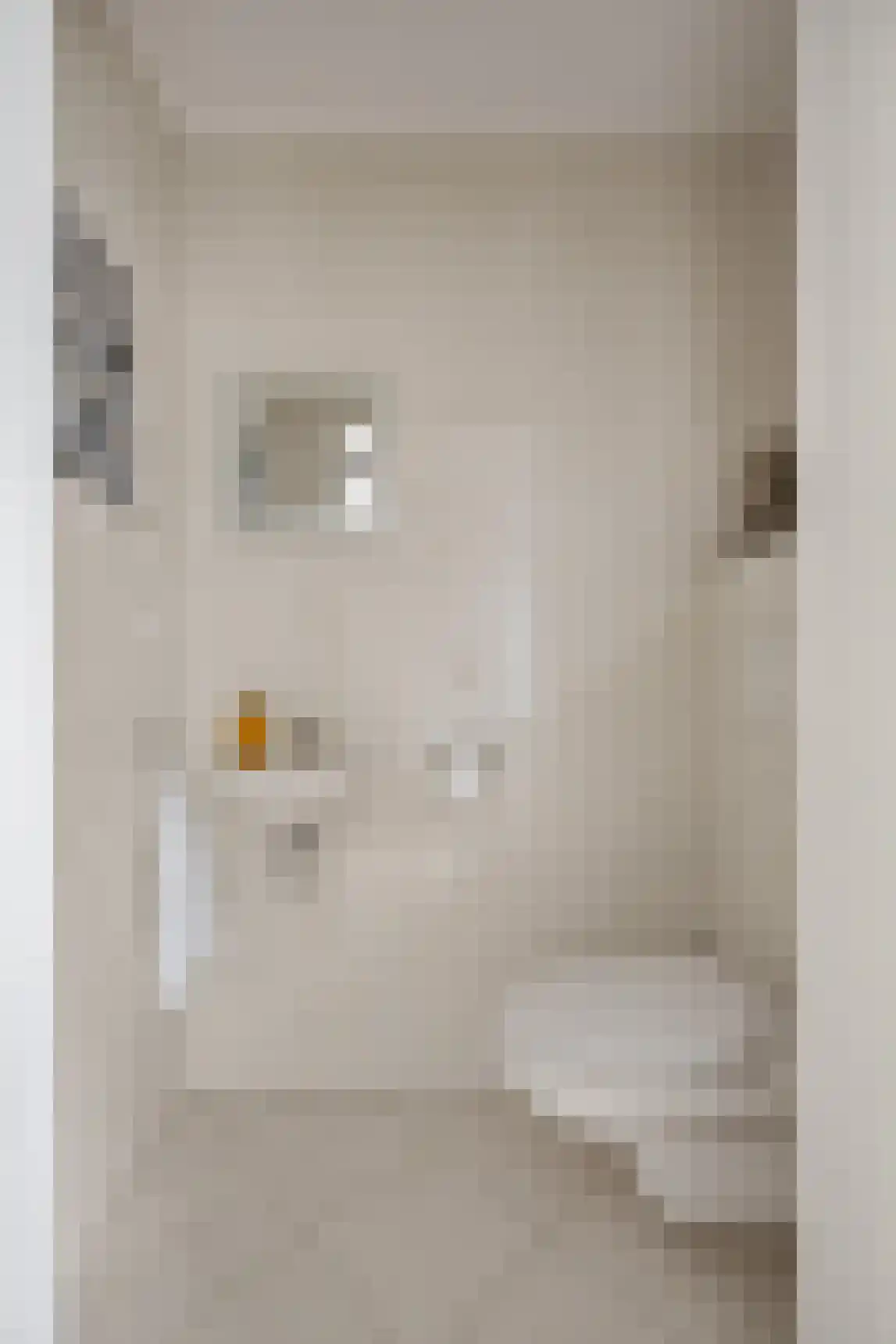 Ganzenhof 3 Made thumbnail 16