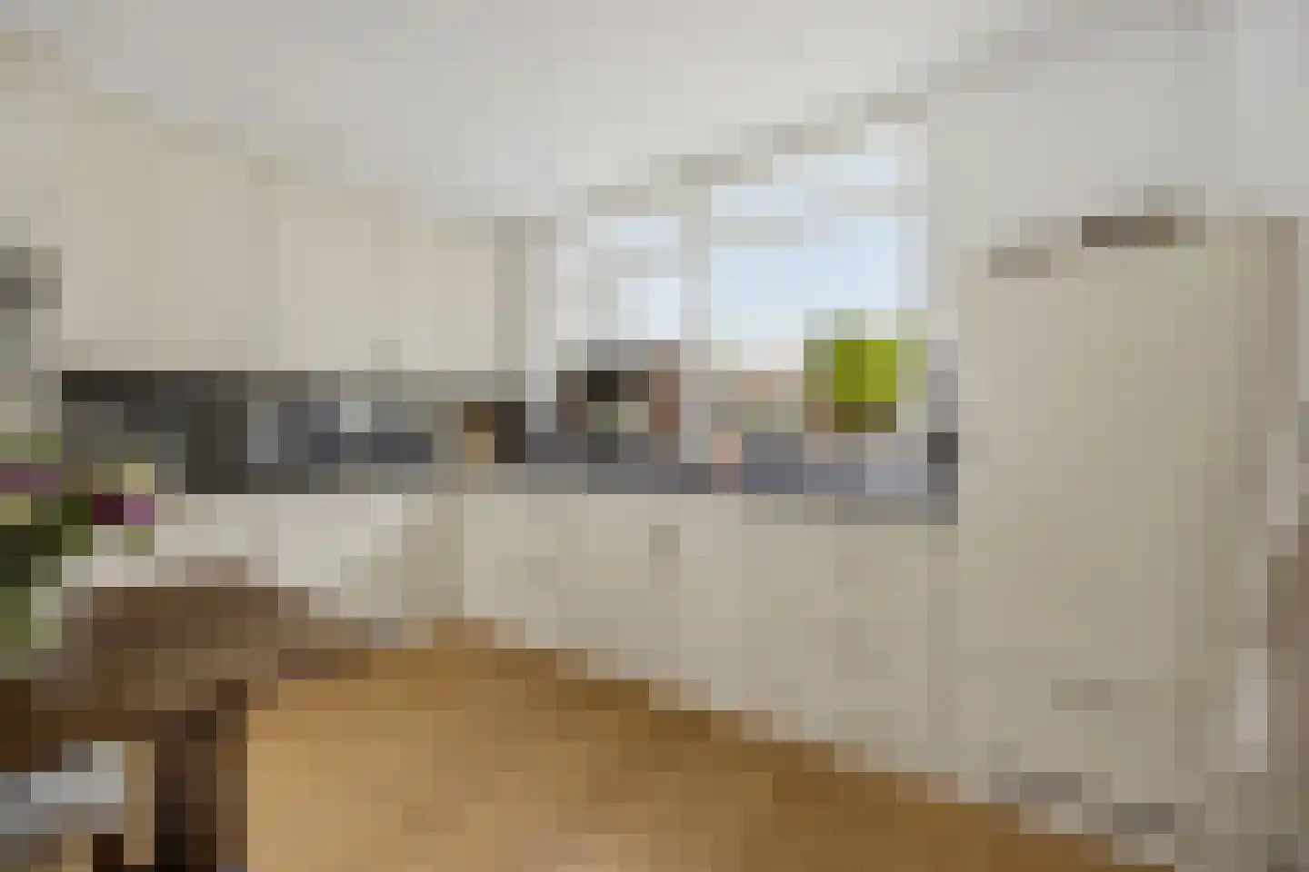 Ganzenhof 3 Made thumbnail 18
