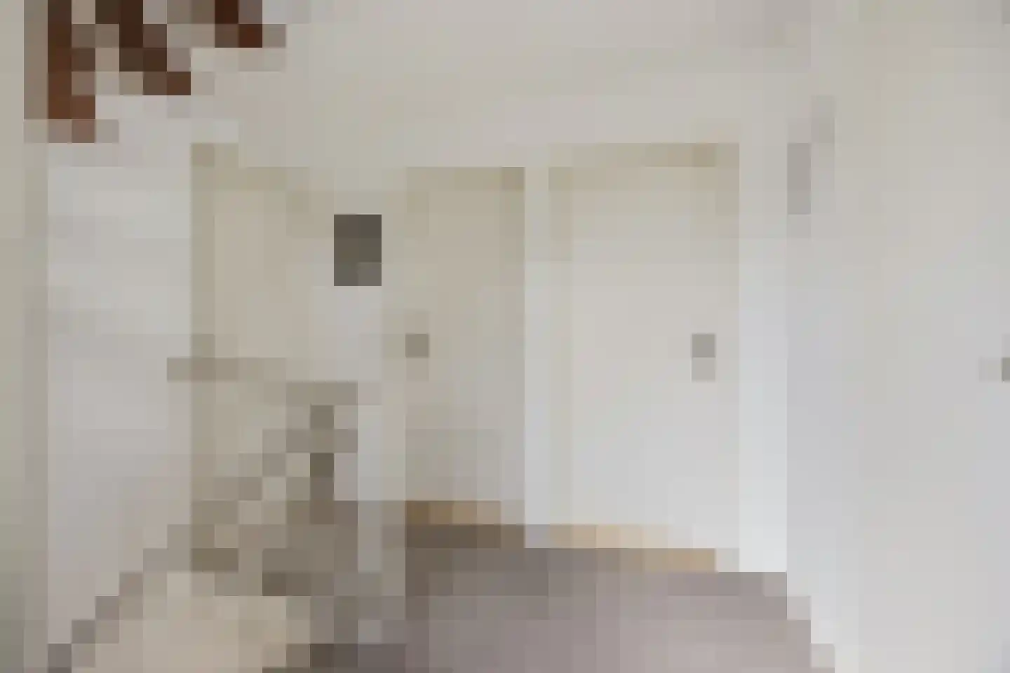 Ganzenhof 3 Made thumbnail 22