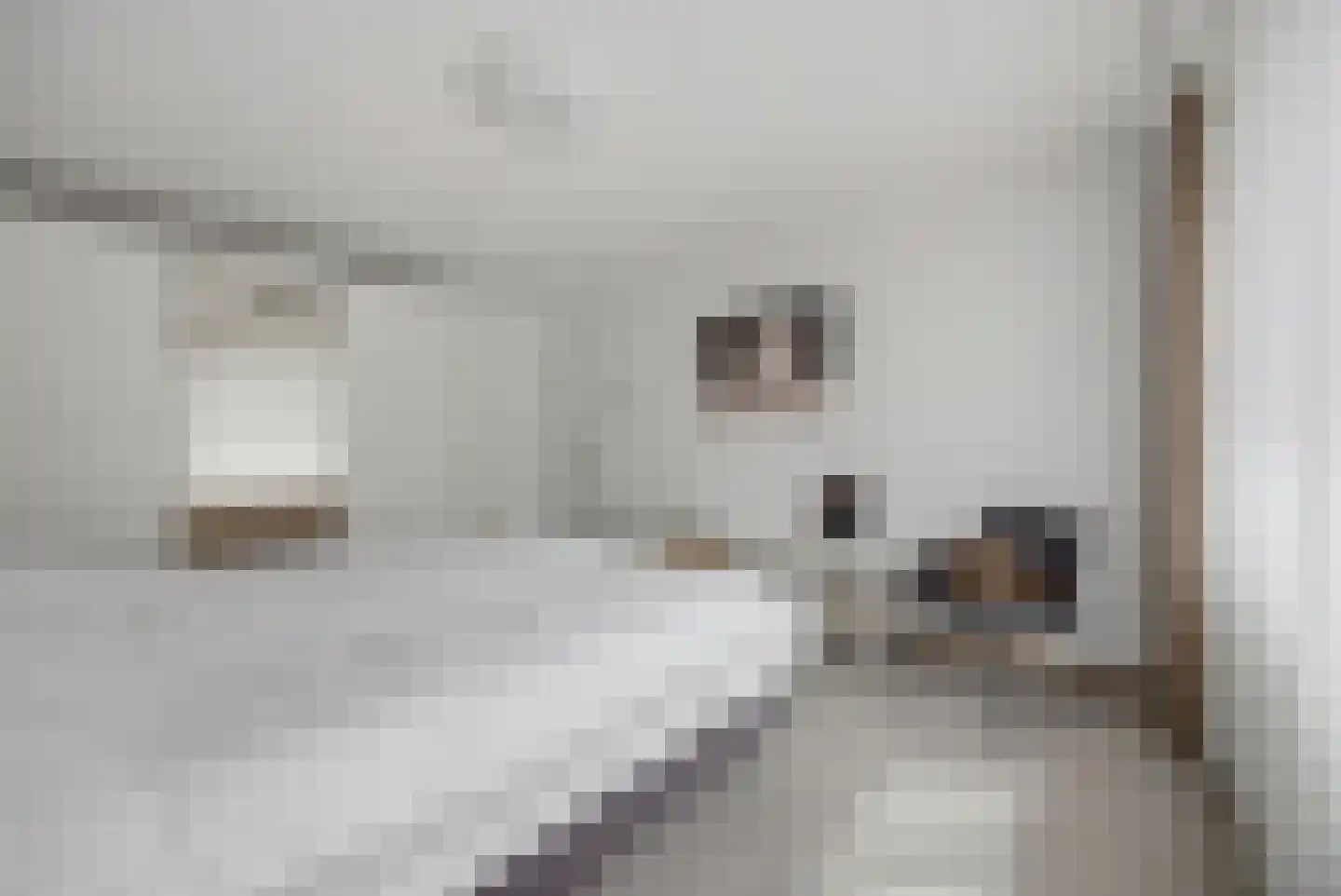 Ganzenhof 3 Made thumbnail 25