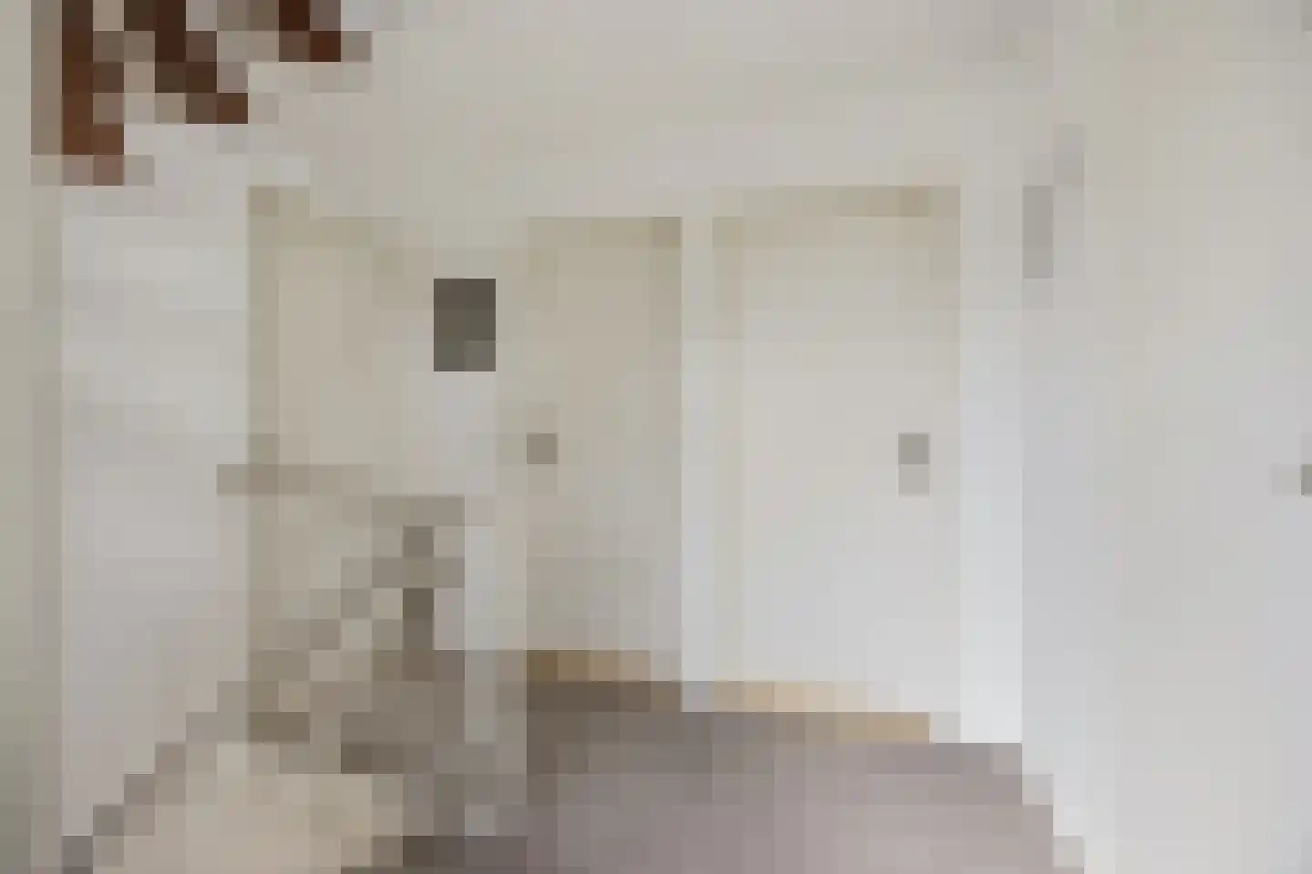 Ganzenhof 3 Made thumbnail 27