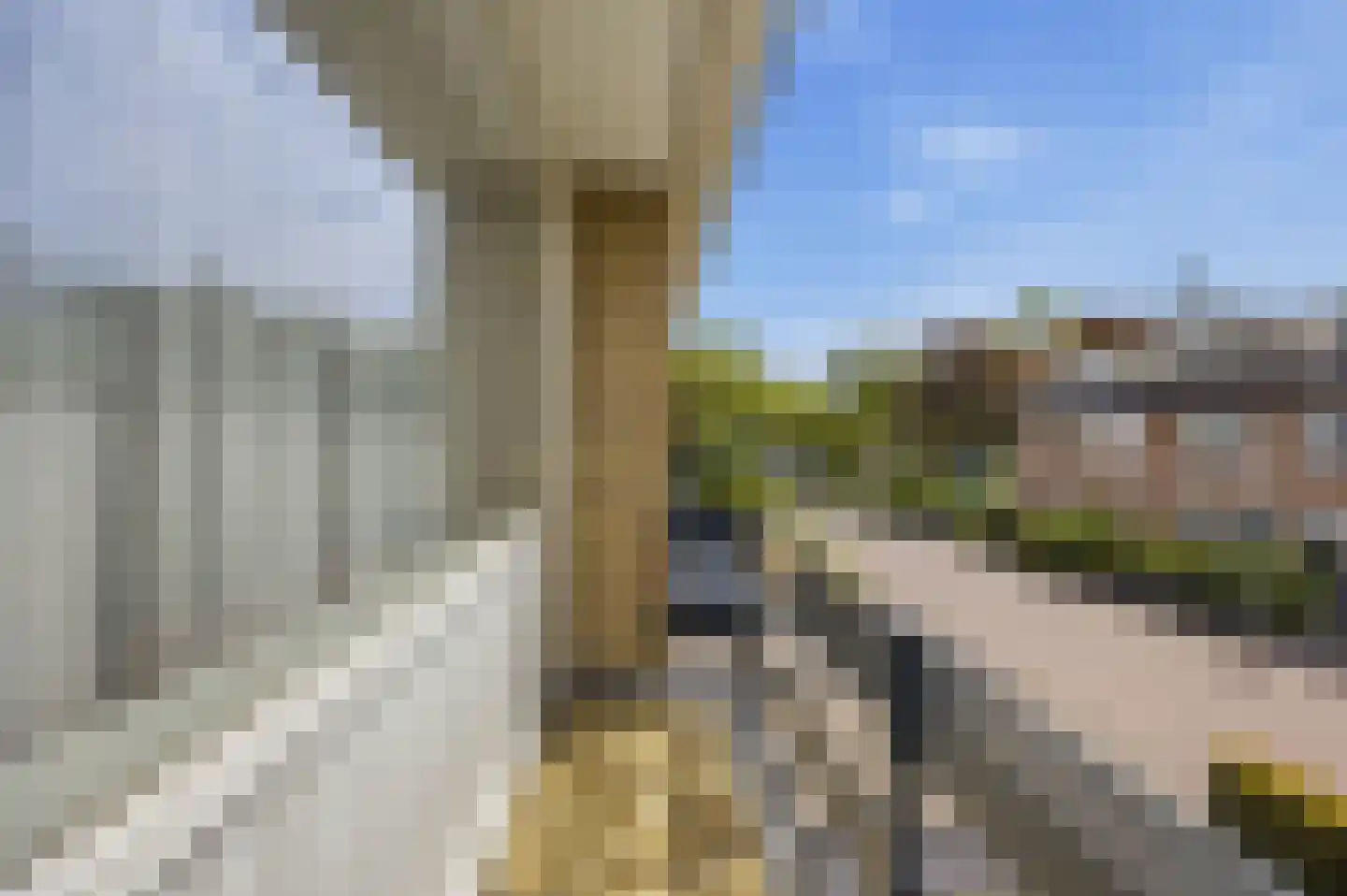Ganzenhof 3 Made thumbnail 27