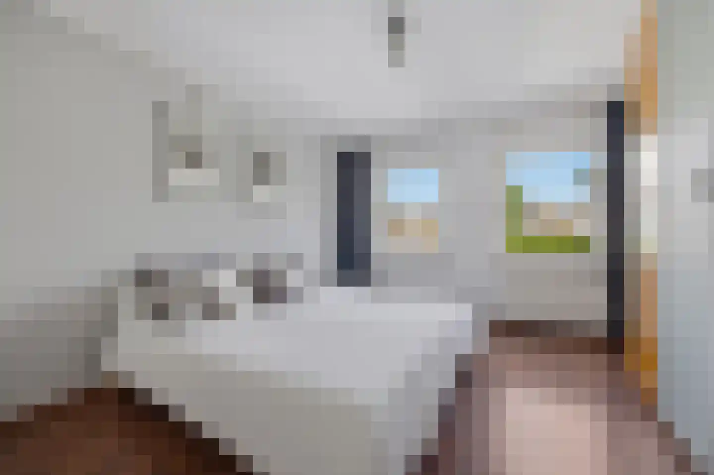 Ganzenhof 3 Made thumbnail 30