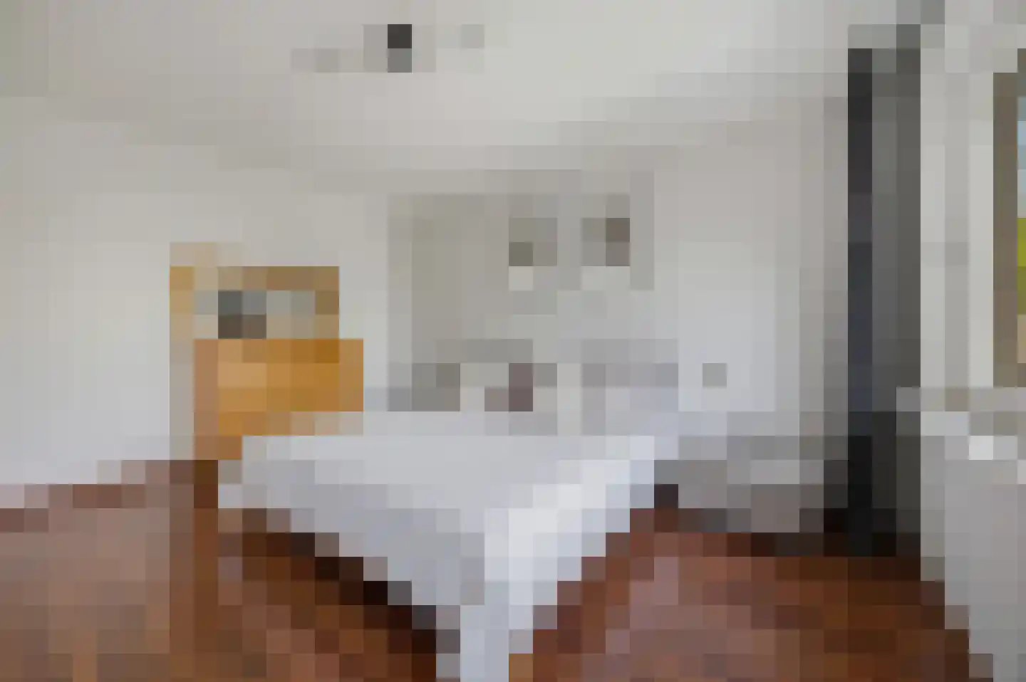 Ganzenhof 3 Made thumbnail 31