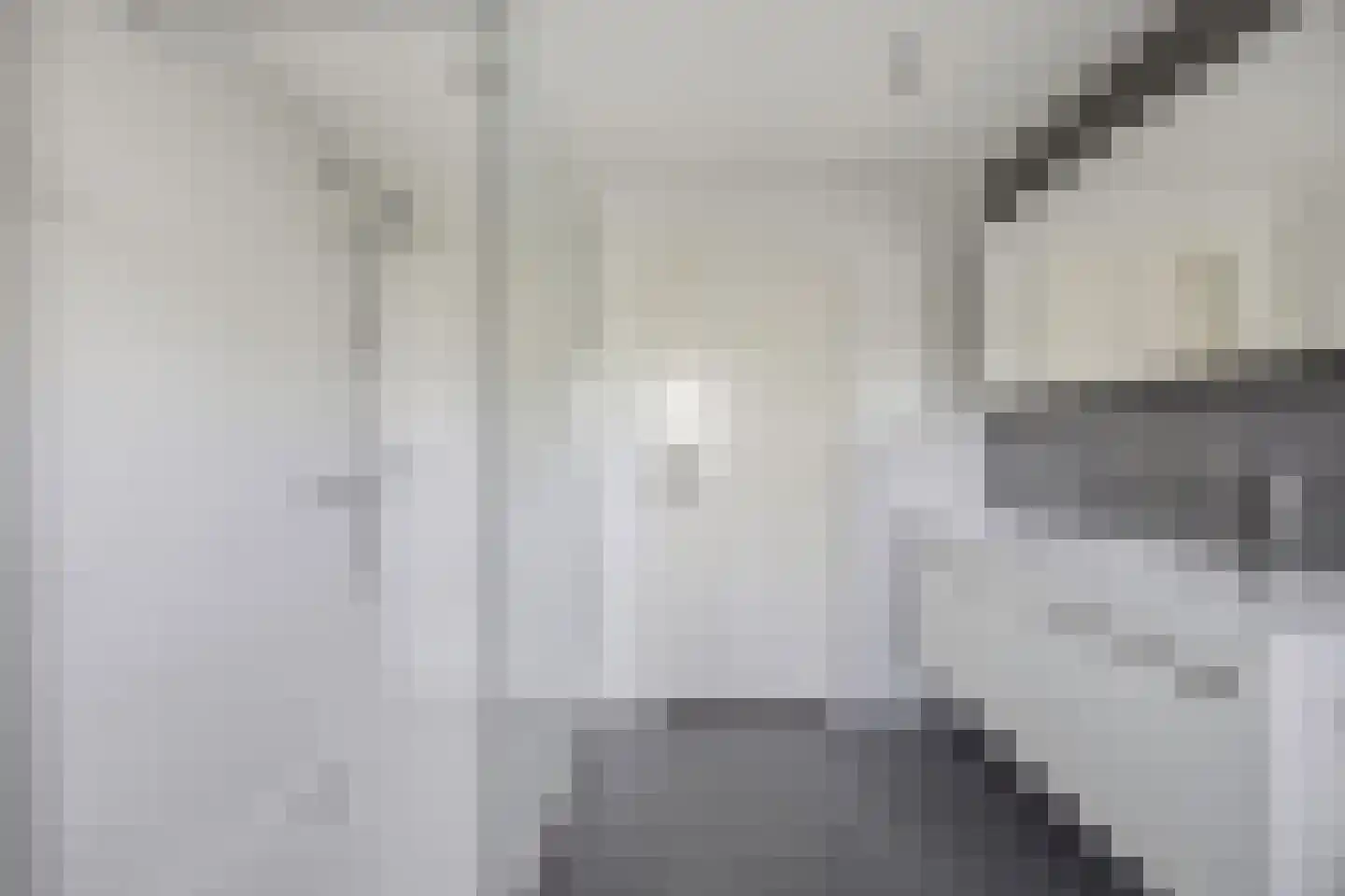 Ganzenhof 3 Made thumbnail 34