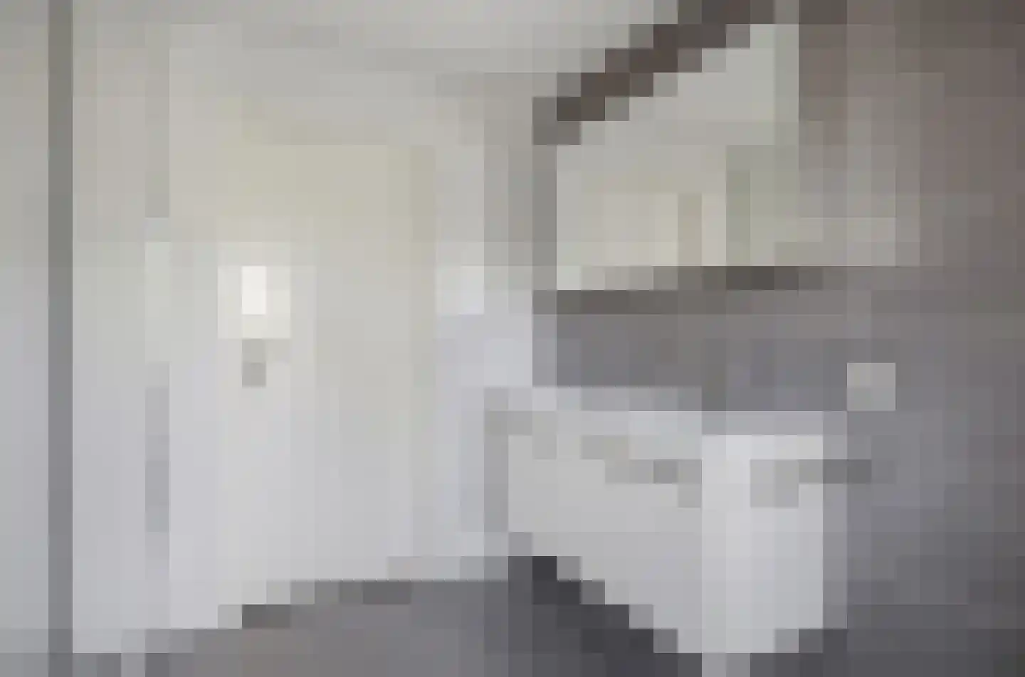 Ganzenhof 3 Made thumbnail 36