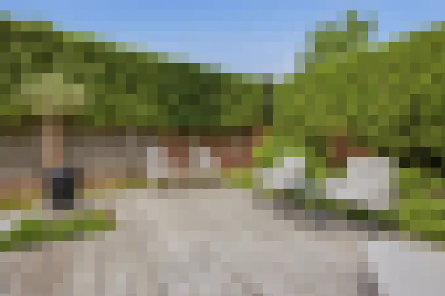 Ganzenhof 3 Made thumbnail 45