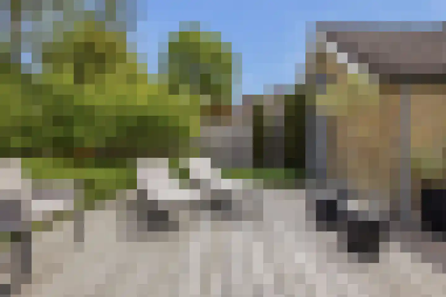 Ganzenhof 3 Made thumbnail 47