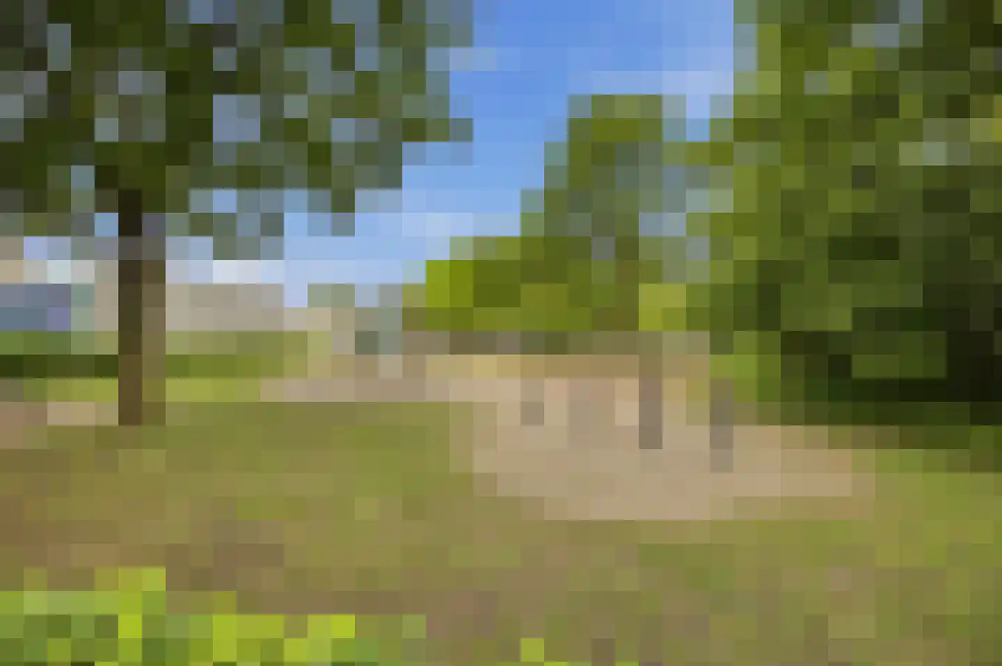 Ganzenhof 3 Made thumbnail 53