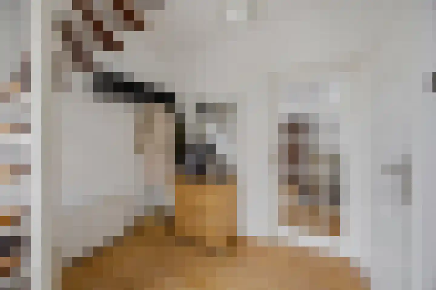 Ganzenhof 3 Made thumbnail 8