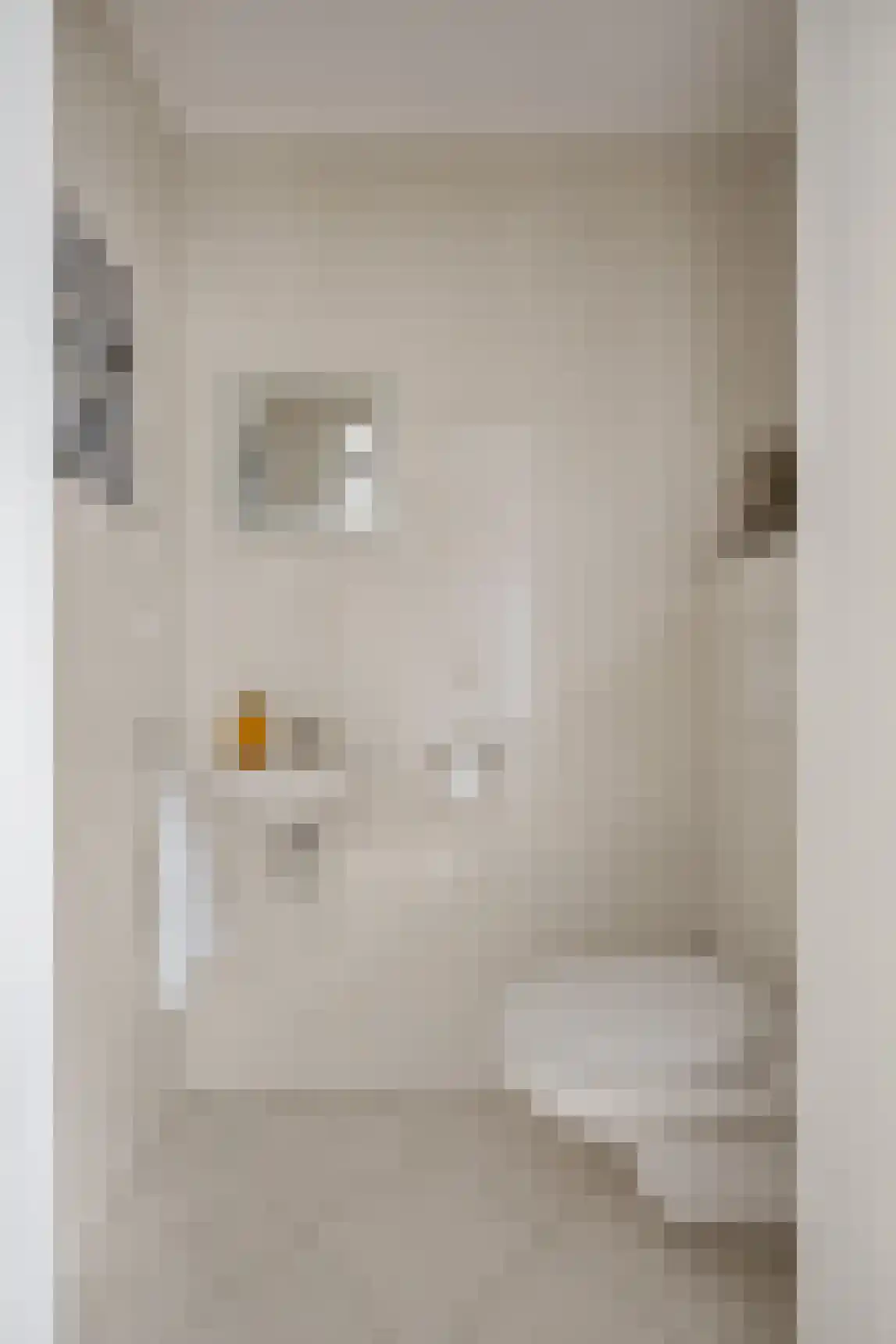 Ganzenhof 3 Made thumbnail 9