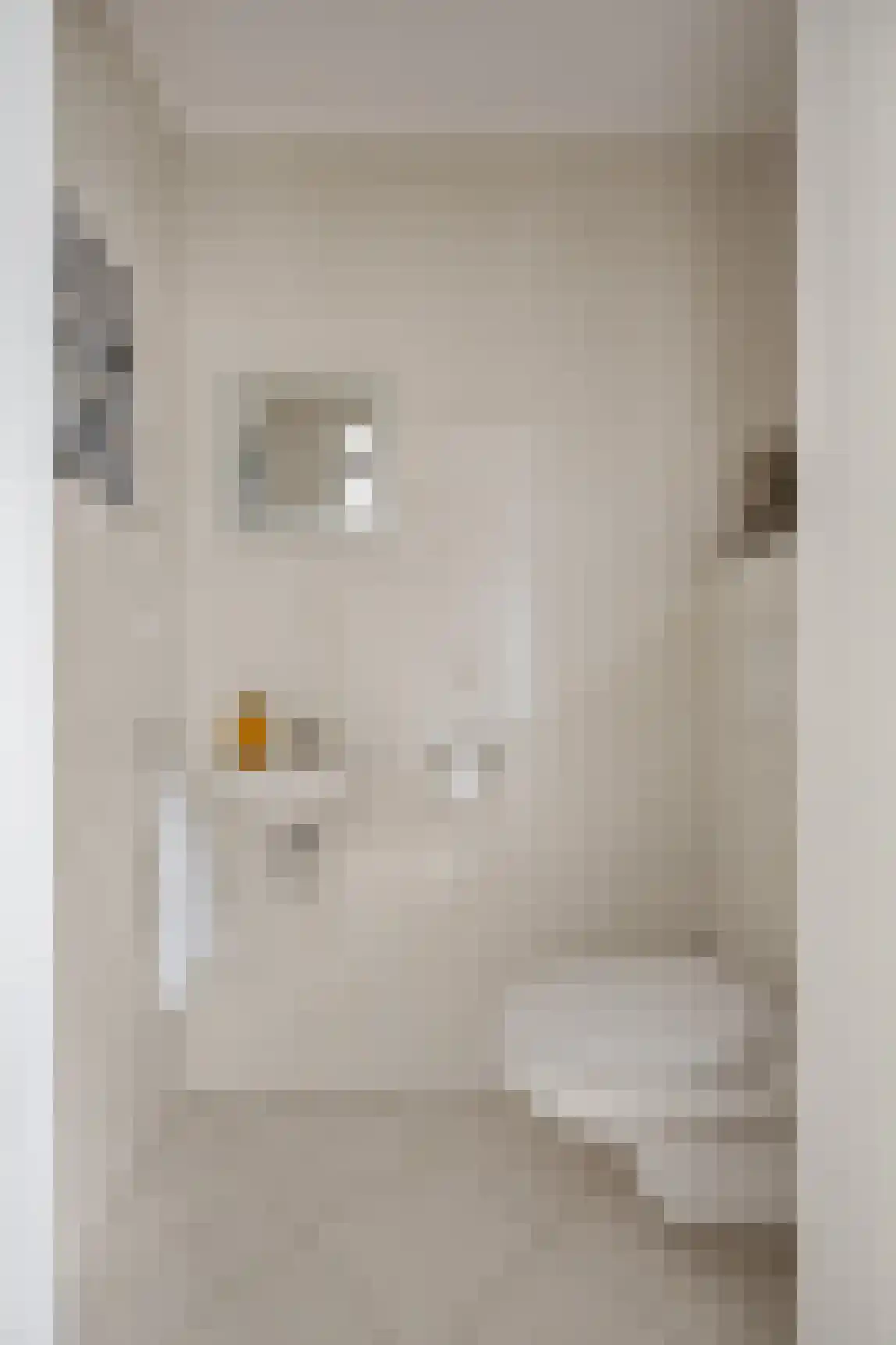 Ganzenhof 3 Made thumbnail 9
