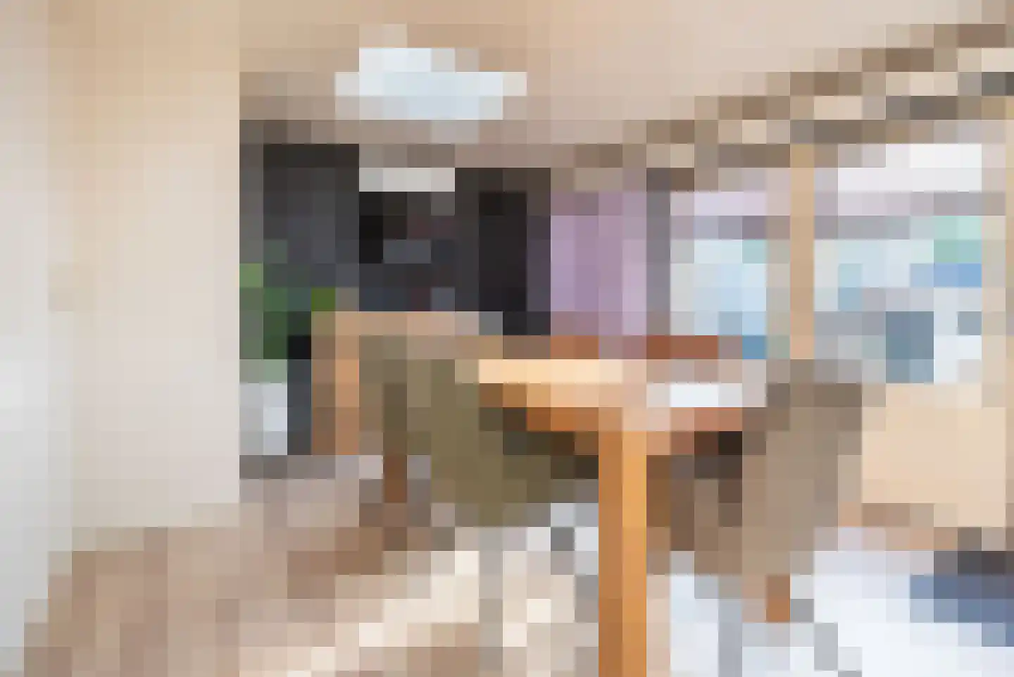 Ganzenmarkt 3 Gendringen thumbnail 22
