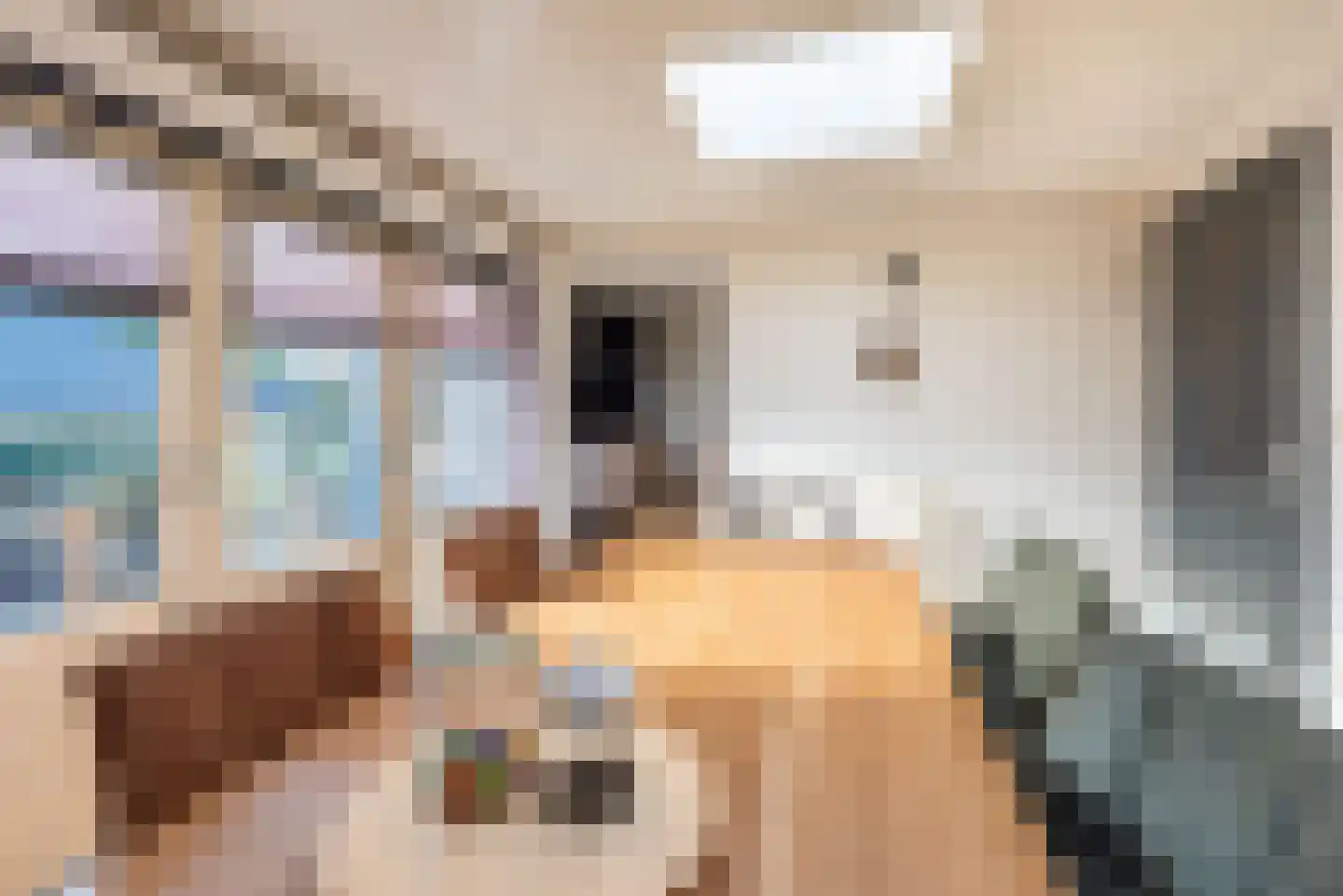 Ganzenmarkt 3 Gendringen thumbnail 24