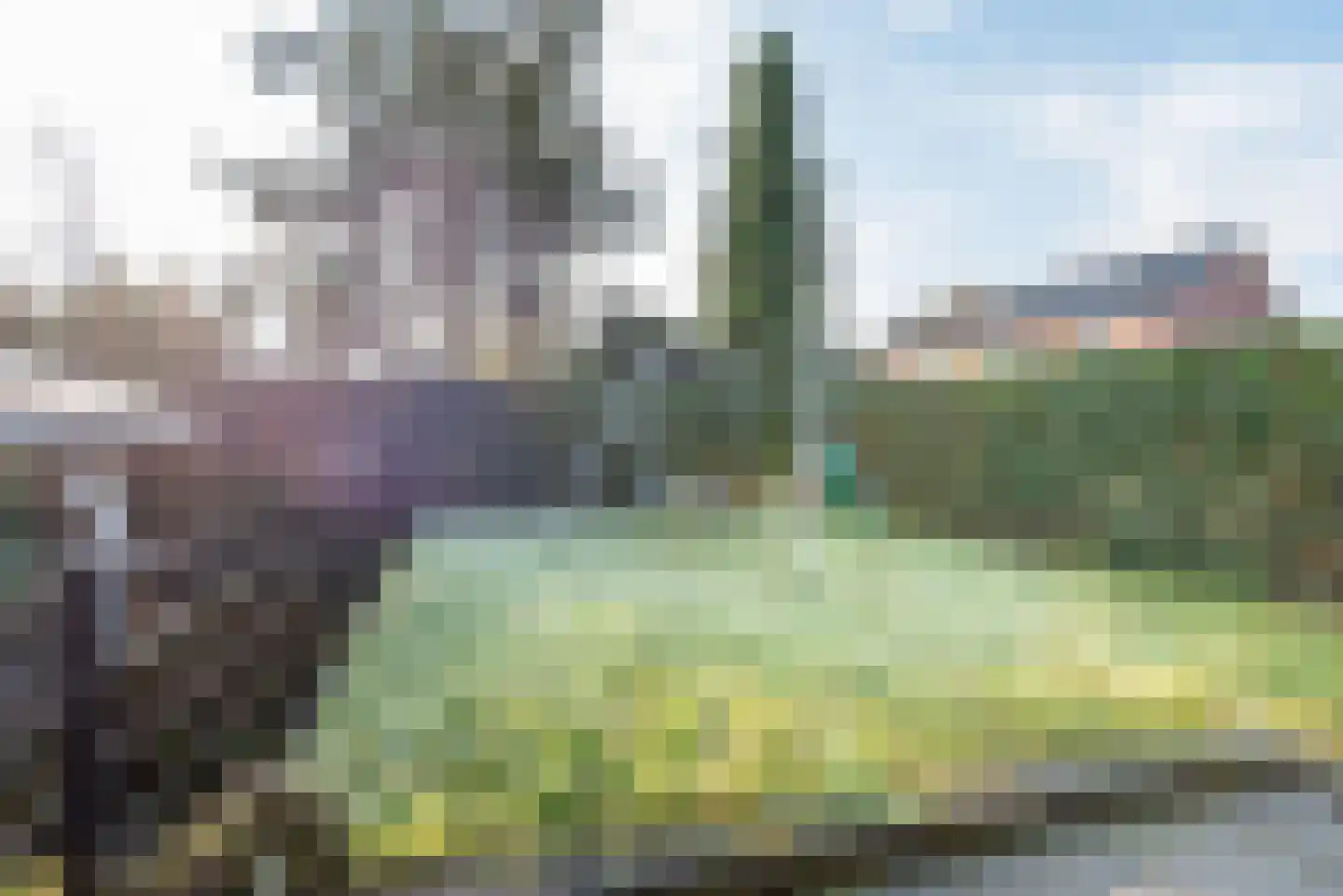 Ganzenmarkt 3 Gendringen thumbnail 37
