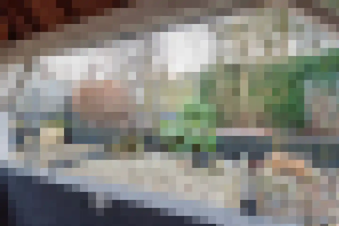 Ganzenmarkt 3 Gendringen thumbnail 43