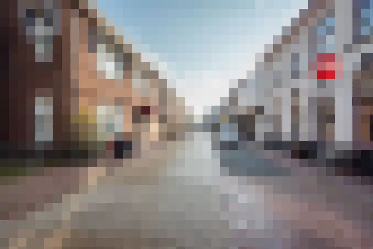 Ganzenmarkt 3 Gendringen thumbnail 47