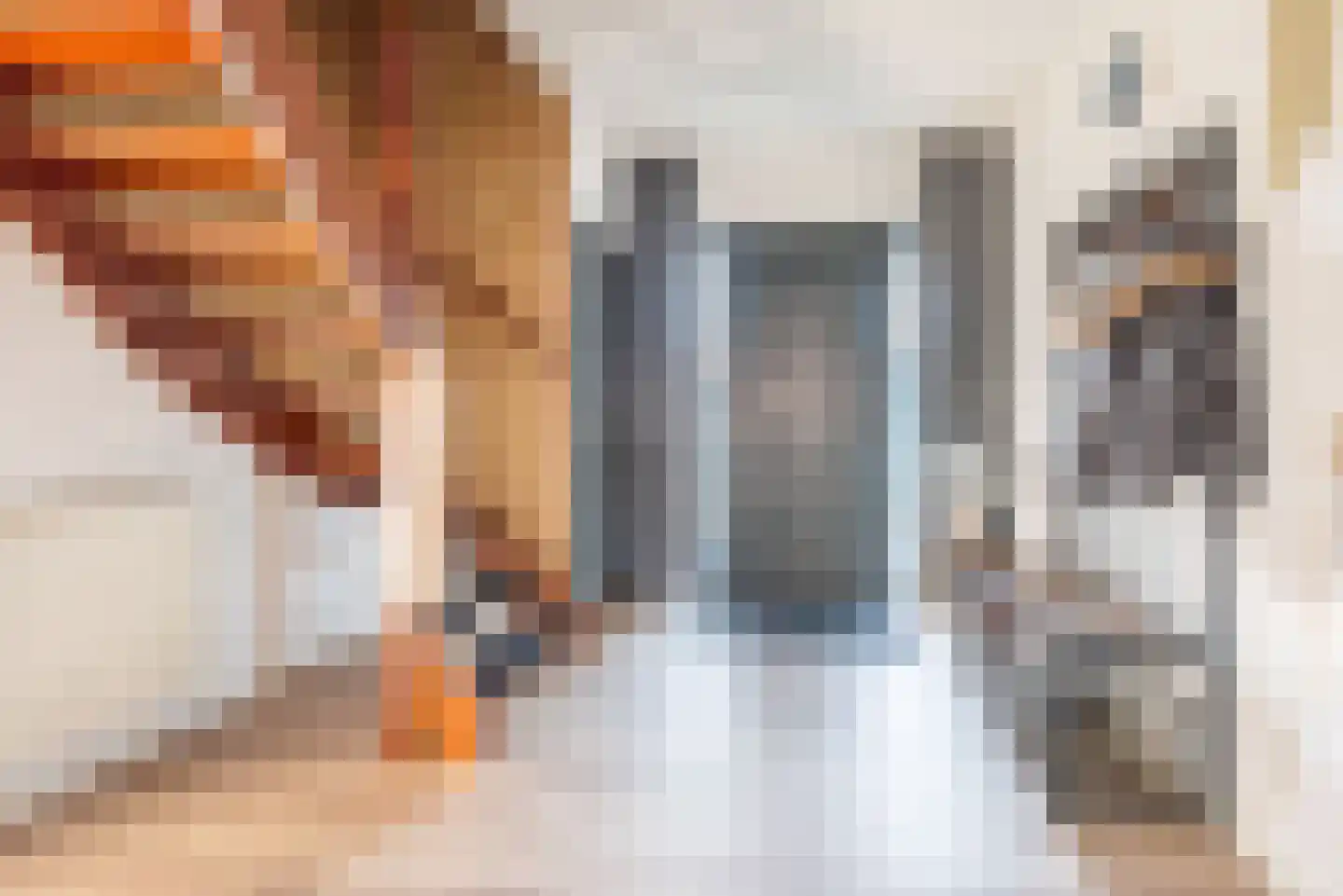Ganzenmarkt 3 Gendringen thumbnail 9