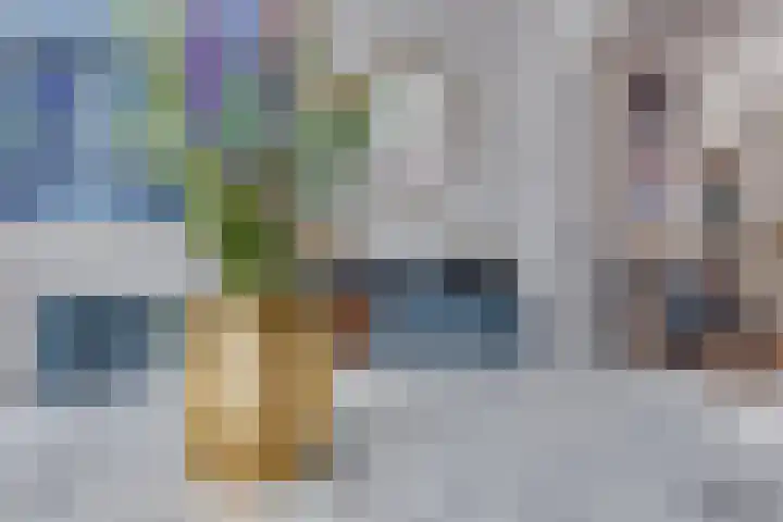Ganzenmarkt 4 Groenlo thumbnail 16