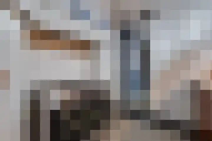 Ganzenmarkt 4 Groenlo thumbnail 23