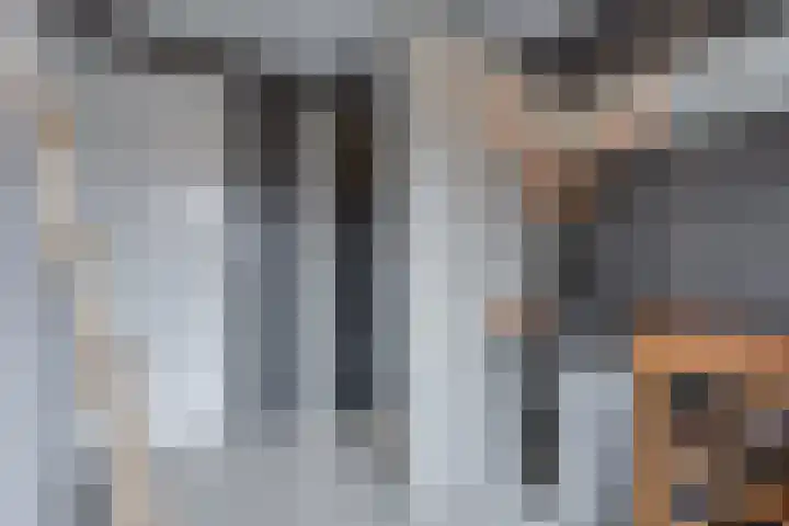 Ganzenmarkt 4 Groenlo thumbnail 38