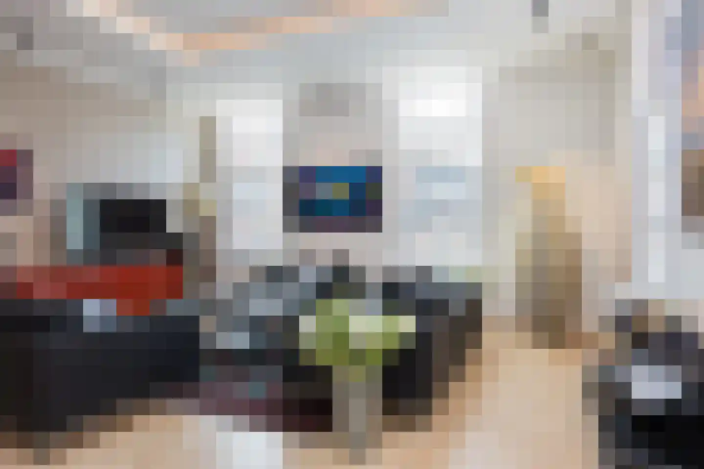 Ganzenmarkt 4 Ootmarsum thumbnail 14