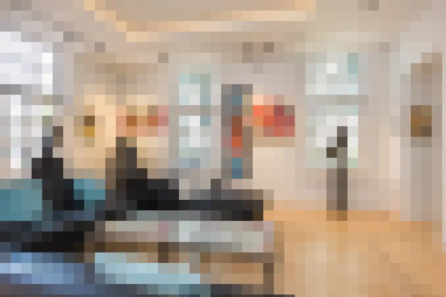 Ganzenmarkt 4 Ootmarsum thumbnail 29