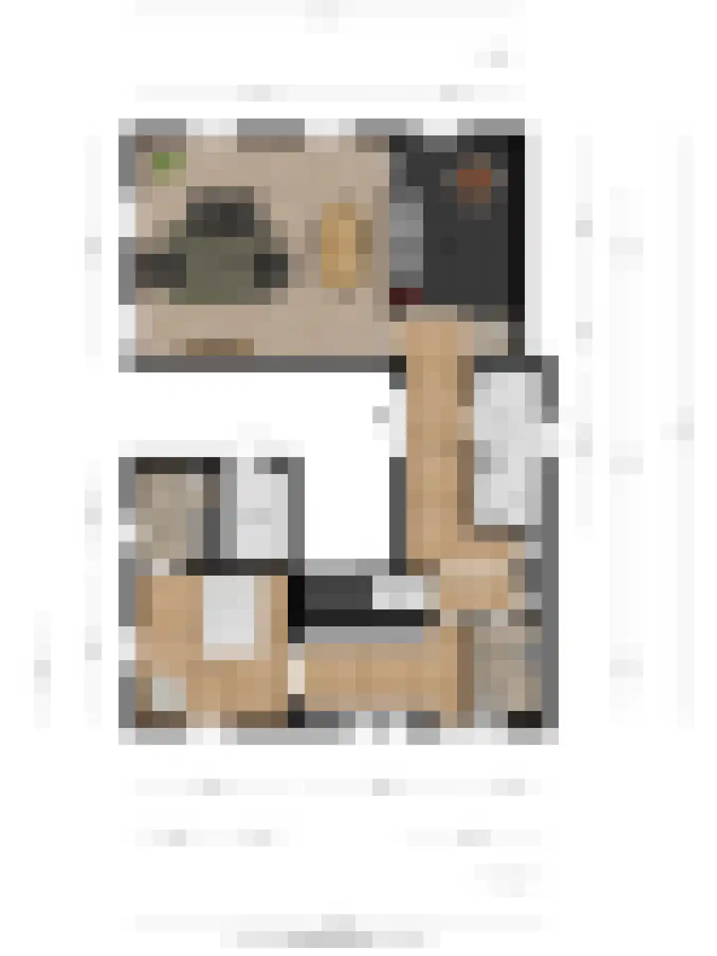 Ganzenmarkt 4 Ootmarsum thumbnail 33