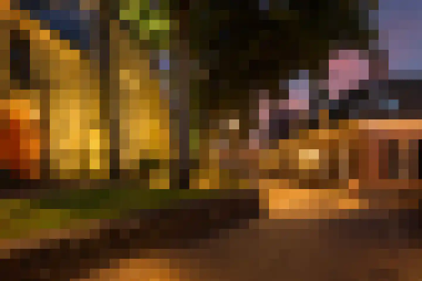 Ganzenmarkt 4 Ootmarsum thumbnail 6