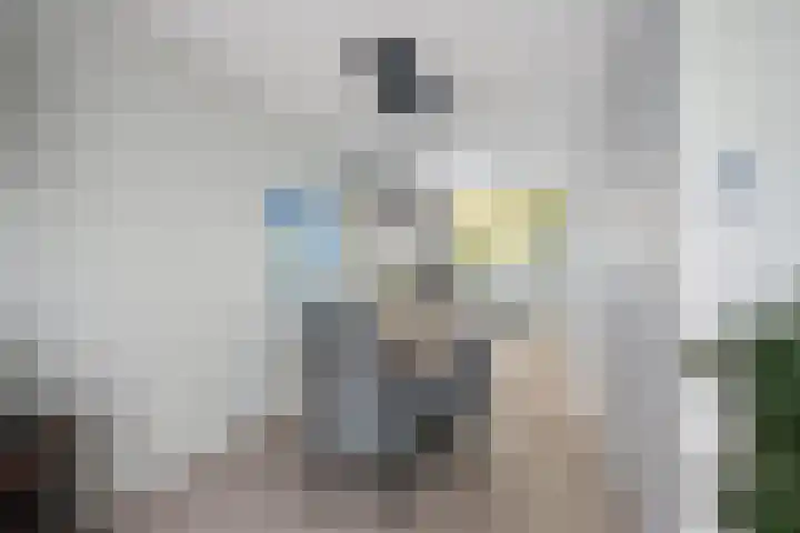Ganzenoord 14 Rotterdam thumbnail 11