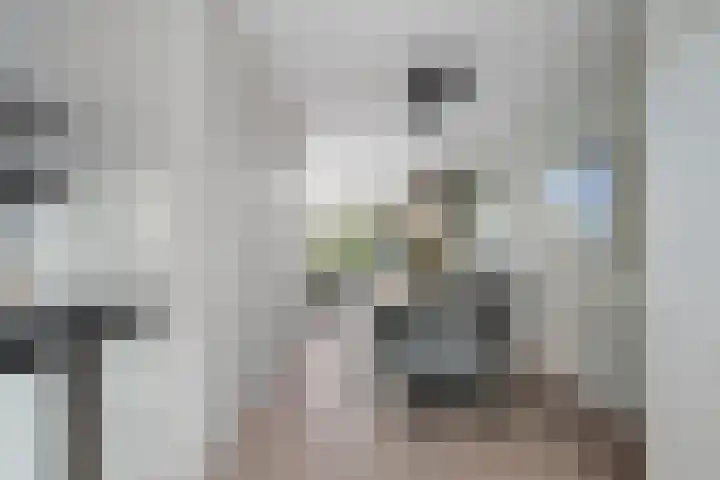 Ganzenoord 14 Rotterdam thumbnail 12