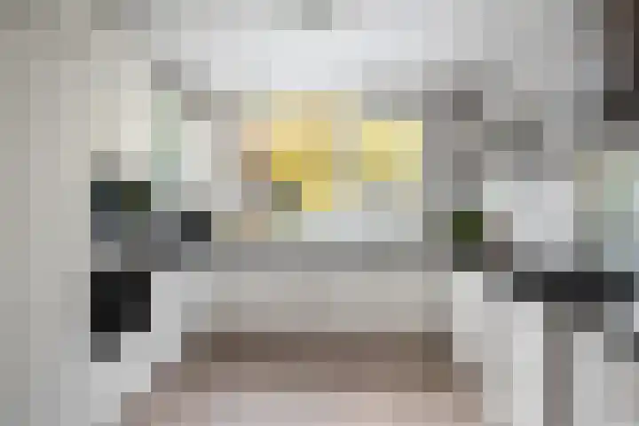 Ganzenoord 14 Rotterdam thumbnail 13