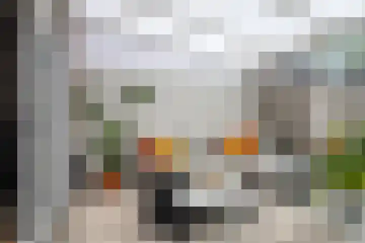 Ganzenoord 14 Rotterdam thumbnail 14