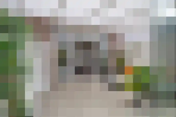 Ganzenoord 14 Rotterdam thumbnail 15