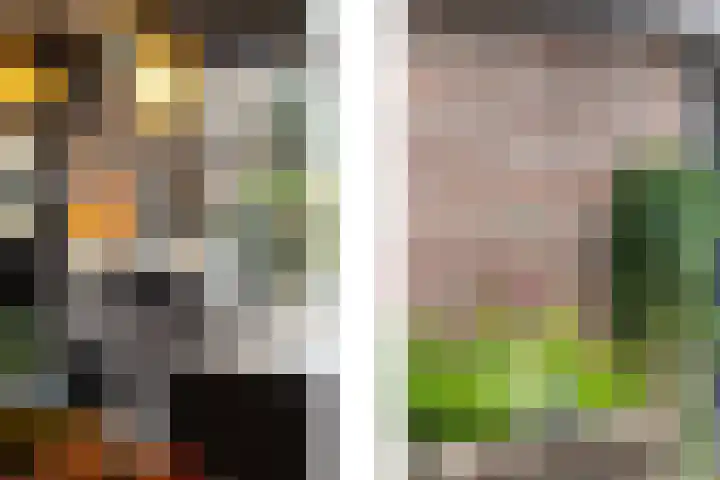 Ganzenoord 14 Rotterdam thumbnail 16