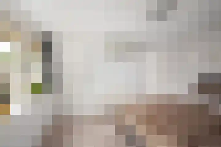 Ganzenoord 14 Rotterdam thumbnail 22