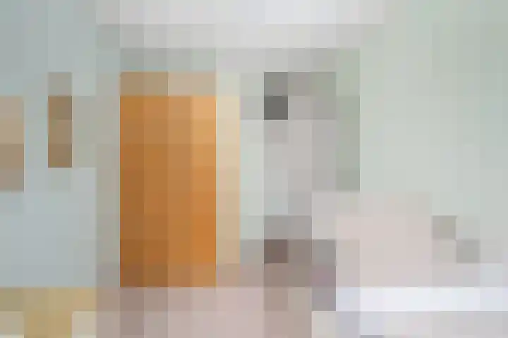 Ganzenoord 14 Rotterdam thumbnail 33