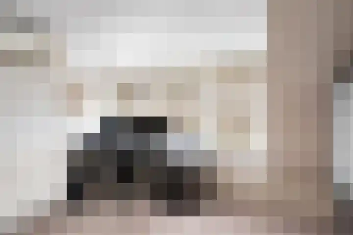 Ganzenoord 14 Rotterdam thumbnail 37