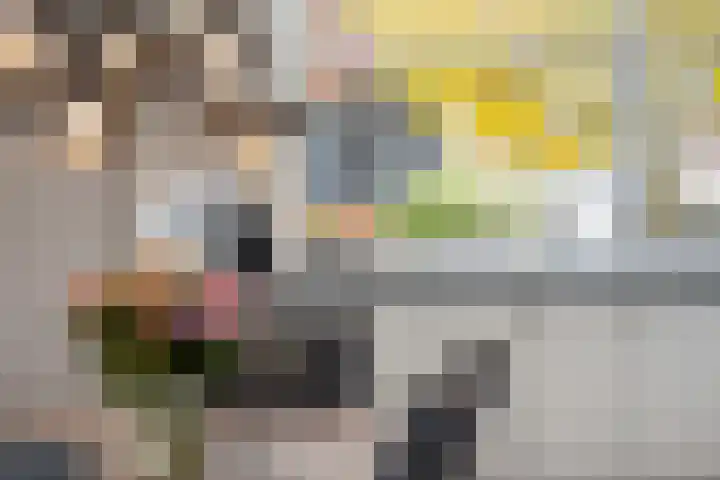 Ganzenoord 14 Rotterdam thumbnail 4
