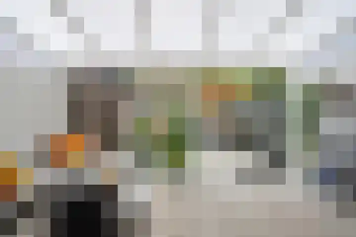 Ganzenoord 14 Rotterdam thumbnail 5