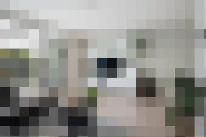 Ganzenoord 14 Rotterdam thumbnail 7