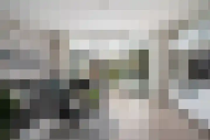 Ganzenoord 14 Rotterdam thumbnail 8