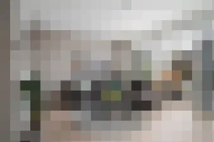 Ganzenoord 14 Rotterdam thumbnail 9