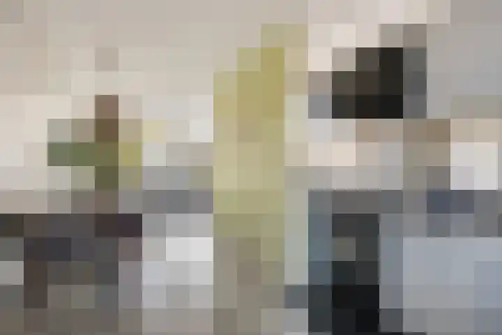 Ganzenoord 4 Rotterdam thumbnail 13