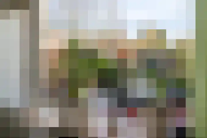 Ganzenoord 4 Rotterdam thumbnail 14