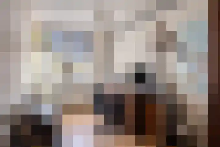 Ganzenoord 4 Rotterdam thumbnail 18