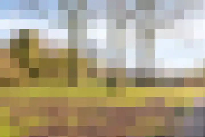 Ganzenoord 4 Rotterdam thumbnail 31